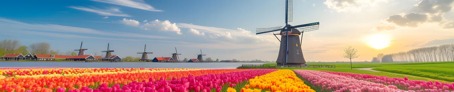 オランダの風景