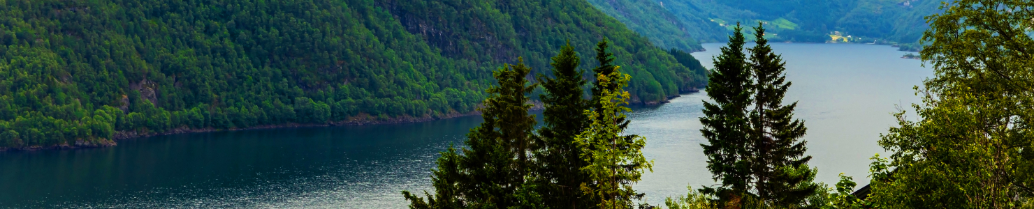 ノルウェーの風景