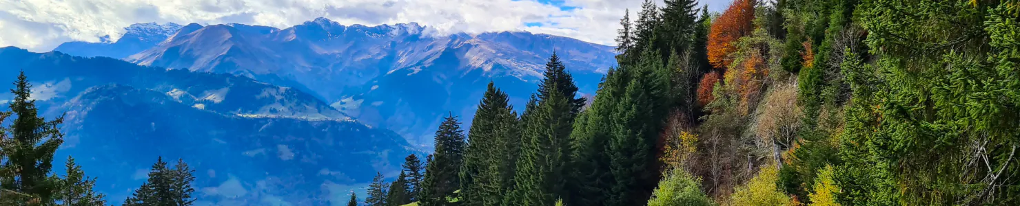 スイスの風景