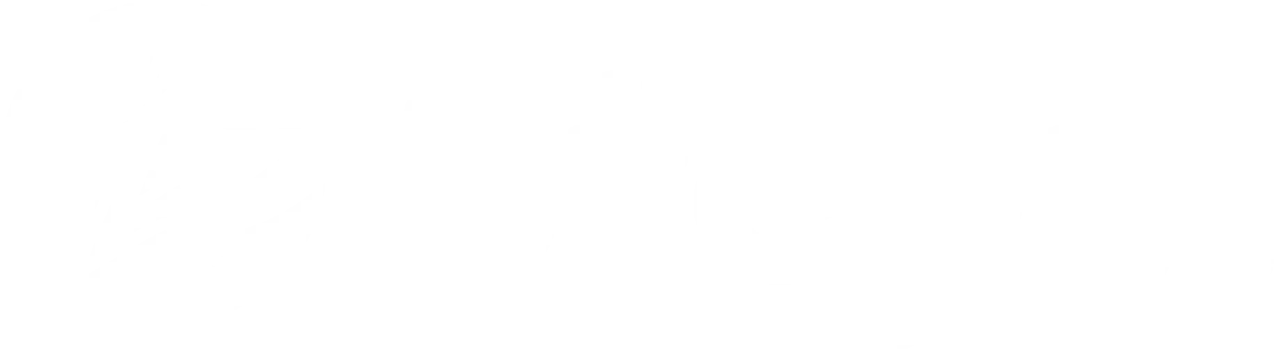 Stepin