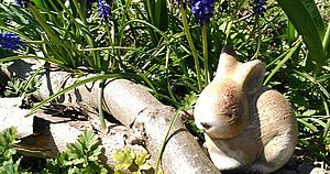 Easterbunny