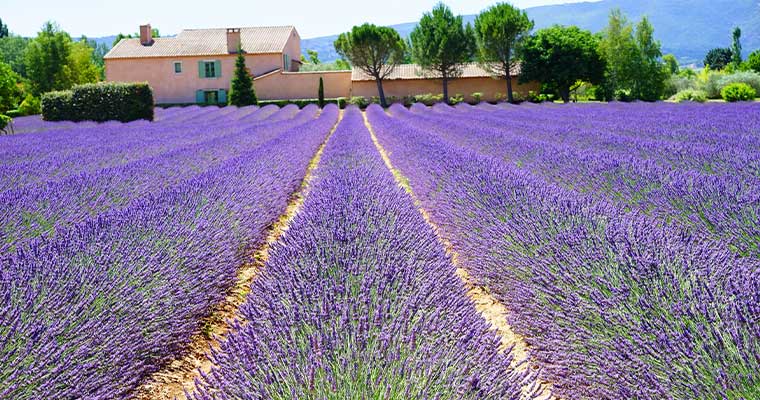 Provence