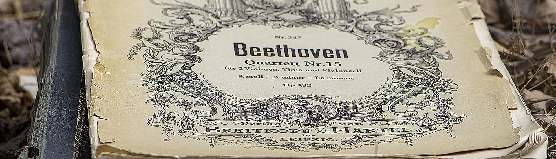 Beethoven Quartett Nr. 15