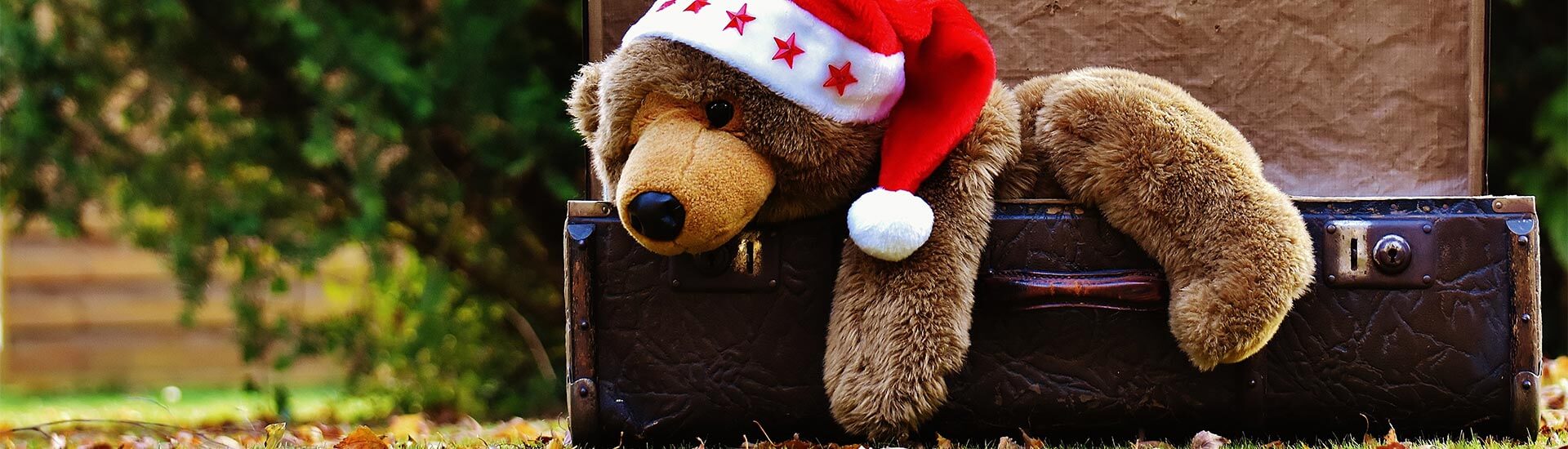 Koffer mit Teddybär